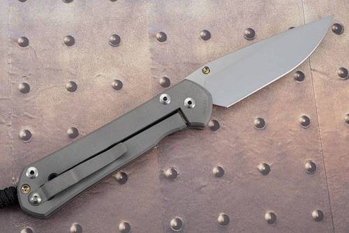 3810 Chris Reeve Large Sebenza 21 Unique Graphics Tanked фото 9