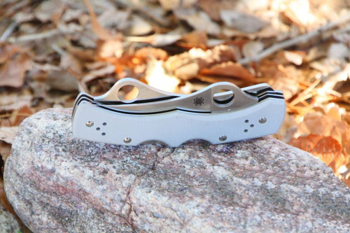 Складной нож Spyderco Dyad® - 44GP&SGY фото 6 Складной нож Spyderco Dyad® - 44GP&SGY фото 6