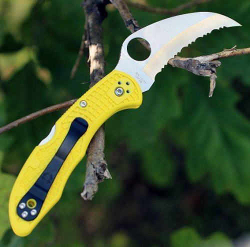 Складной нож Spyderco Tasman Salt 2 - 106SYL2 фото 4 Складной нож Spyderco Tasman Salt 2 - 106SYL2 фото 4